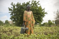 Photo: ©FAO/©Benedicte Kurzen/NOOR for FAO